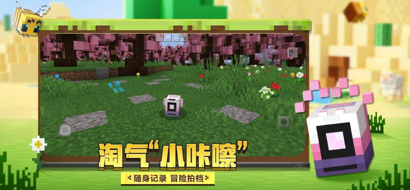 苏菲亚的婚纱